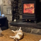 Elk Brass - Defra Approved - 5kw - Eco Design Approved - Woodburning / Multi-Fuel Stove