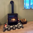 Ecosy+ Panoramic Pure Bio Stove 