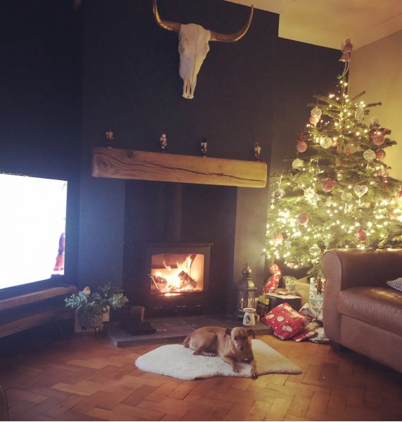 !Ecosy+ Panoramic 