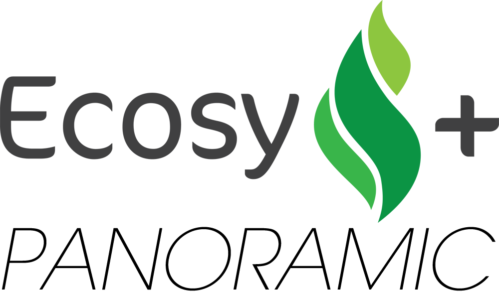 Panoramic: The easy-to-use Ecodesign Ready multi-fuel stove collection